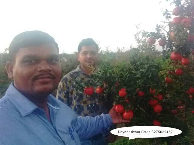 Green Planet Bio Products Nashik Mobile  shop Nashik